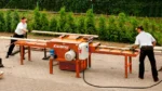 EG300 Multirip Board Edger - Image 2